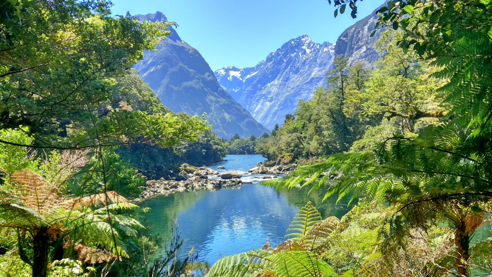 Milford Track, new Zealand