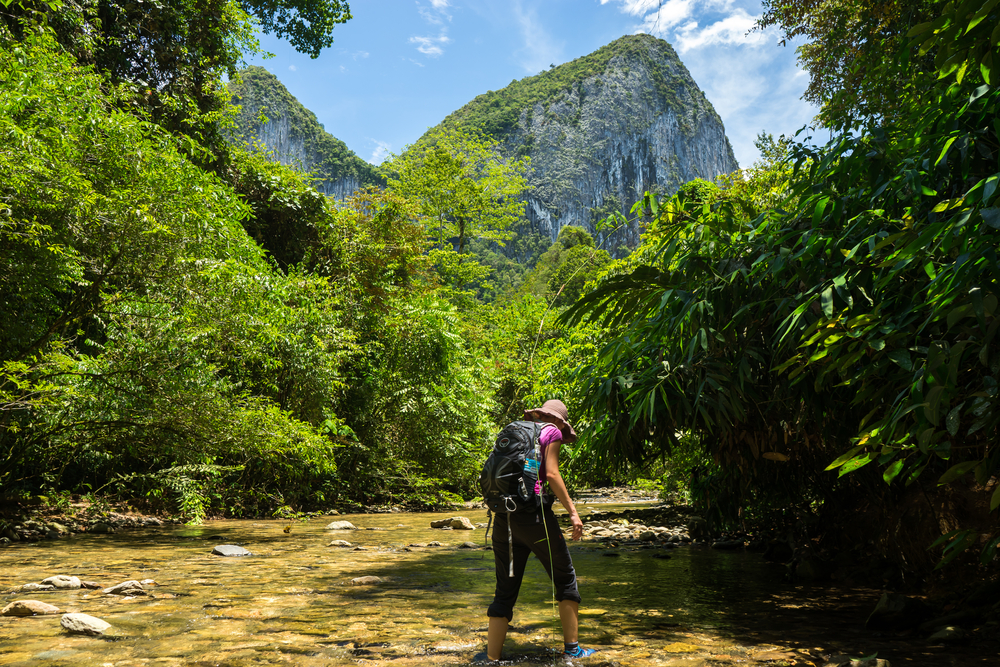 Borneo jungle trekking
