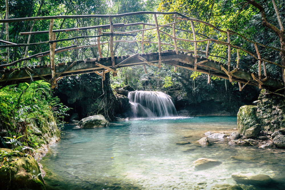Bamboo bridge in Kawasan falls, Philippines